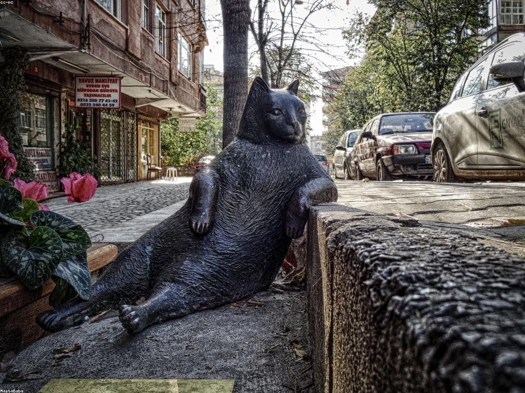 របៀបជ្រើសរើសឧបករណ៍ស្លុតដែលសមស្រប